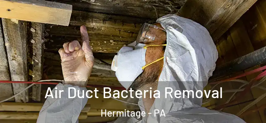 Air Duct Bacteria Removal Hermitage - PA