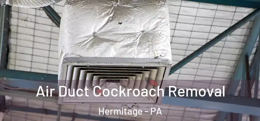  Air Duct Cockroach Removal Hermitage - PA