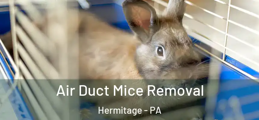 Air Duct Mice Removal Hermitage - PA