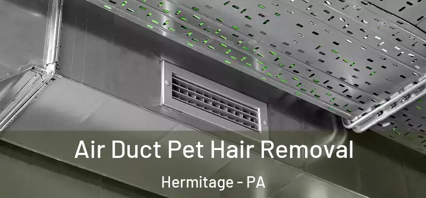 Air Duct Pet Hair Removal Hermitage - PA