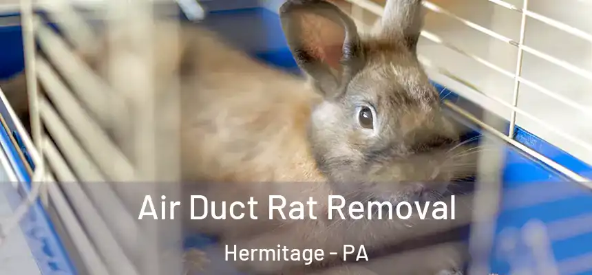 Air Duct Rat Removal Hermitage - PA