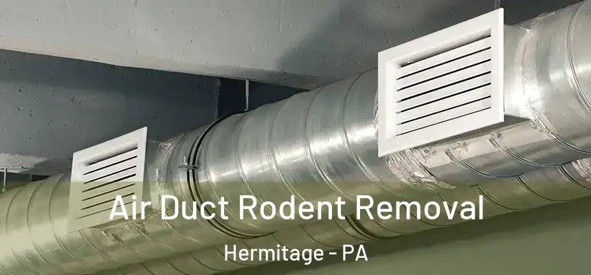  Air Duct Rodent Removal Hermitage - PA