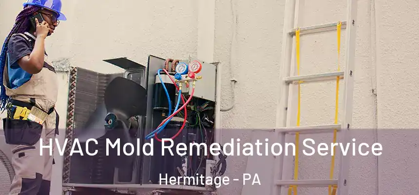  HVAC Mold Remediation Service Hermitage - PA