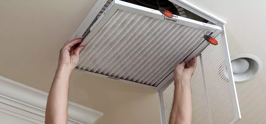 Preventive Cockroach-Proofing for Ducts in Hermitage