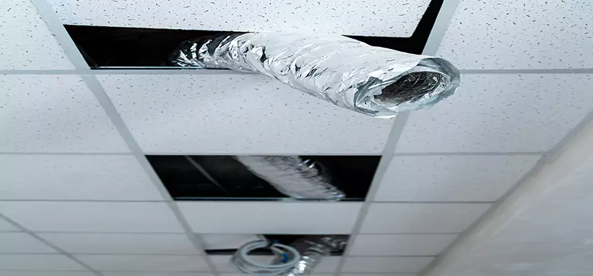 Affordable HVAC Sanitizing After Pest Removal in Hermitage