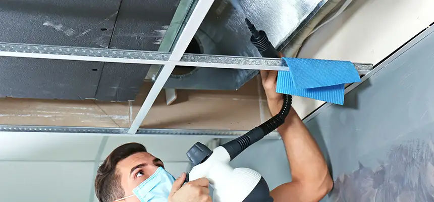 Our Air Duct Rodent Removal Services in Hermitage, PA
