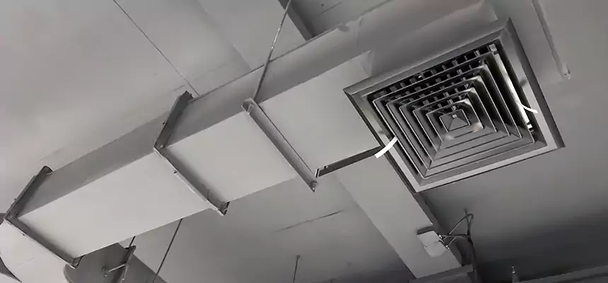 Restorative Allergy Relief Vent Cleaning – Coil, Blower & Housing Detail in Hermitage