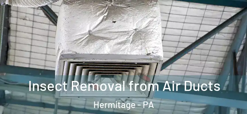  Insect Removal from Air Ducts Hermitage - PA