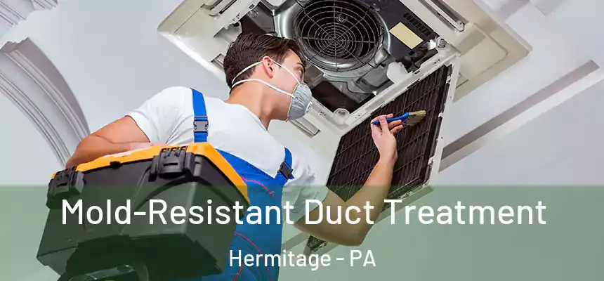  Mold-Resistant Duct Treatment Hermitage - PA