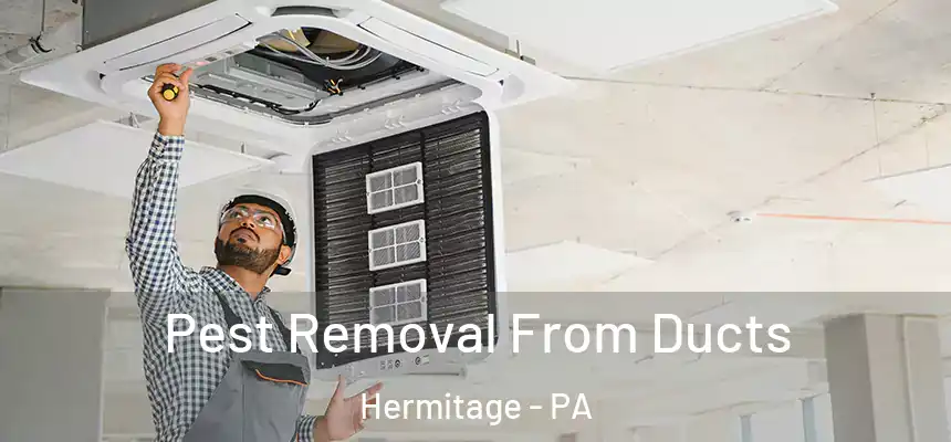 Pest Removal From Ducts Hermitage - PA