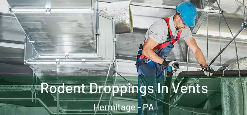  Rodent Droppings In Vents Hermitage - PA