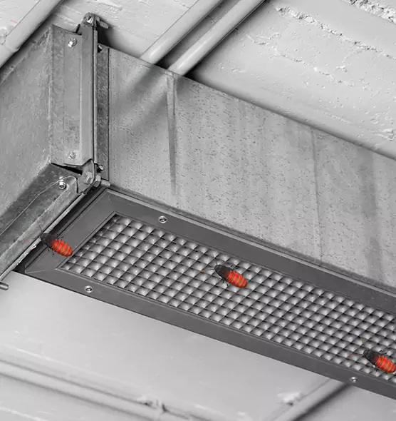 Affordable Insect Removal from Air Ducts in Hermitage, PA