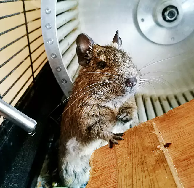 Why Homeowners & Businesses Trust Us Hermitage, PA